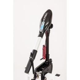 Moteur Électrique Haswing Protruar G3 110 LBS 24V Brushless | Moteur Bateau Pêche Carpe | CarpeConnect