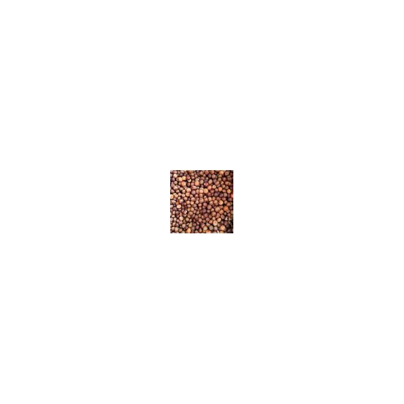 CARPECONNECT POIS D ERABLE 1 KG