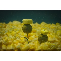 ROK YELLOW POPUP MAIZE X15