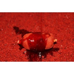 PRO ELITE BAITS DIPS BOOSTER ROBIN RED 1 litre