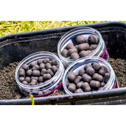 Big River Barbel Dumbell Hookbaits - 15 x 18mm