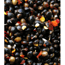 CHENEVIS CHILI CARPECONNECT 3 L 100% PVA FRIENDLY