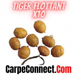 TIGER NUTS FLOTTANT  X 8