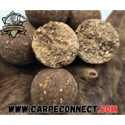 Bouillettes Monster Dealer 20 mm 1 kg CarpeConnect appâts carpe gros poissons
