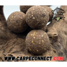 Bouillettes Monster Dealer 15 mm 1 kg CarpeConnect appâts carpe hybride