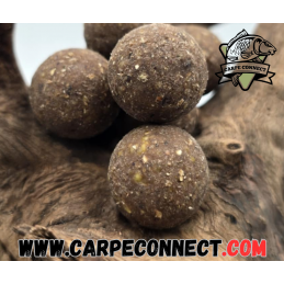 Bouillettes Monster Dealer 20 mm 5 kg CarpeConnect appâts carpe gros poissons