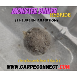 Bouillettes Monster Dealer 15 mm 1 kg CarpeConnect appâts carpe hybride