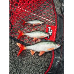 Fox Rage Realistic Roach Replicant 18cm 80gr