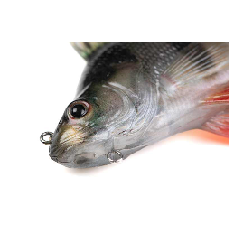 Fox Rage Realistic Perch Replicant 18cm 100gr