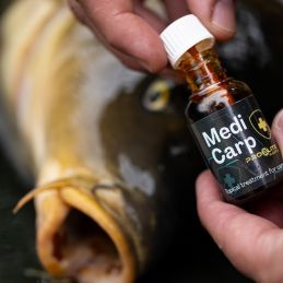 Pro Elite Baits MEDICARP ANTISEPTICO PRO ELITE BAITS- ANTIBACTERIAL PINCEAU