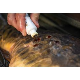 Korda Propolis Carp Treatment – Soin Naturel pour Poissons | CarpeConnect
