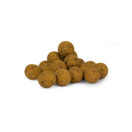 Avid Carp Bouillettes B8-Up Cream 20mm 5kg – Amorçage carpe longue durée | CarpeConnect