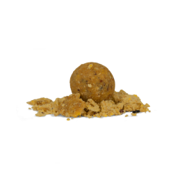 Avid Carp Bouillettes B8-Up Cream 20mm 5kg – Amorçage carpe longue durée | CarpeConnect