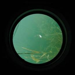 Aquascope carpe carp spirit water scan