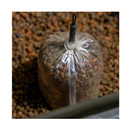 Avid Carp Transfer Solid PVA Bag Large | Sac PVA carpe | CarpeConnect