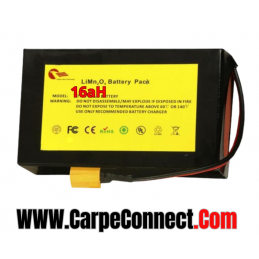 1 x News 2026 Batteries Lithium Anatec 7.4 V 16 Ah Pour Catamaran / Maxboat /  M