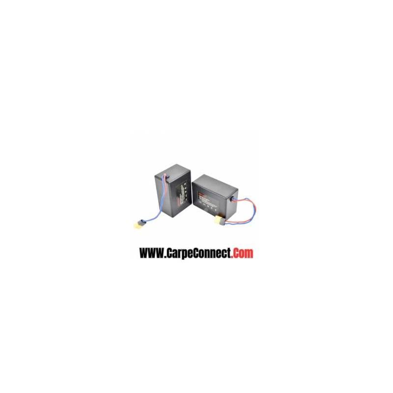 ANATEC Lot de 2 Batteries Lithium 7.4V 8Ah pour PACBOAT