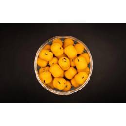 Forgotten Flavours Summer Secret Wafters 18x16 mm – Wafter carpe attractif été | CarpeConnect
