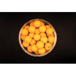 Forgotten Flavours Top Banana FF X Go Pop Ups 15mm | Pop-ups Carpe Haut de Gamme