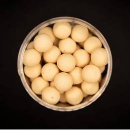 Forgotten Flavours Cream of Creams Pop-ups – Raf Bertels Feature Series | CarpeConnect