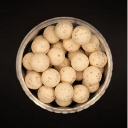 Forgotten Flavours Maple Dream Pop-Ups 15mm | Feature Series Kris Pauwels | CarpeConnect
