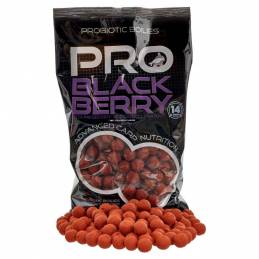 StarBaits Pro Blackbery Boilies 14 mm 800 gr | Bouillettes Carpe | CarpeConnect