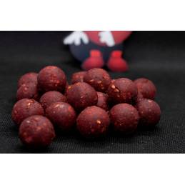 Dudi Bait Bouillettes Soluble Forest Squid 16 mm 1 kg - Bouillette carpe | CarpeConnect