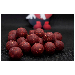 Dudi Bait Bouillettes Soluble Forest Squid 16 mm 1 kg - Bouillette carpe | CarpeConnect