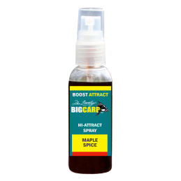 BIG CARP SPRAY BOOST ATTRACT 100 ML MAPLE SPICE