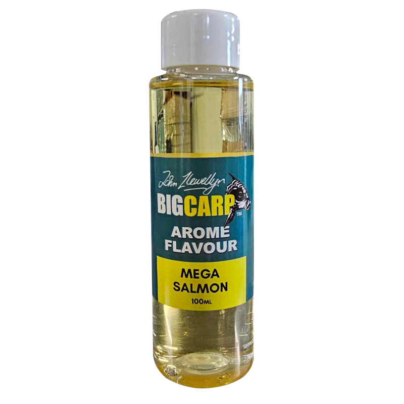 BIG CARP AROME MEGA SALMON 100 ML