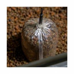 Avid Carp Transfer Solid PVA Bag Medium - Sac PVA carpe