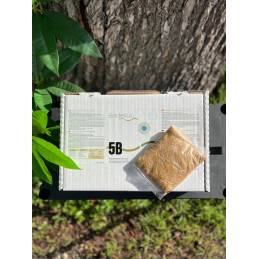 Bacterius®5B Pack de 3 sachets Pour 1000 m2