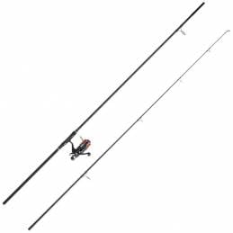 DAIWA Ensemble Carpe DC 2300 DF 12' 3 lb + BRB5035B | CarpeConnect