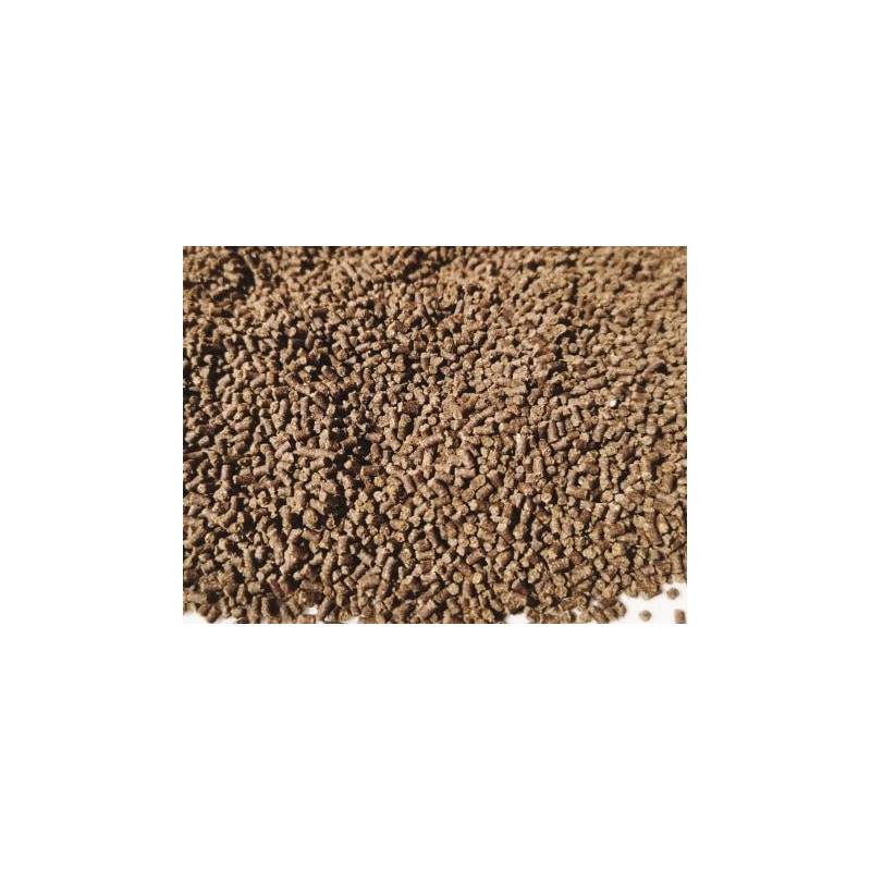 Dudi Bait Feeder Micropellets Fish 1 kg pellets feeder carpe method attractifs