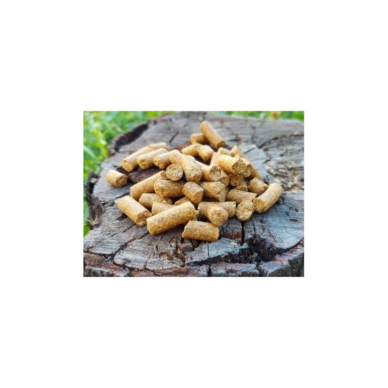 Dudi Bait Pellets CSL 1 kg pellets carpe feeder attractants naturels CSL