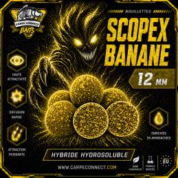 Bouillettes Scopex Banane 12 mm 1 kg CarpeConnect appat carpe performant WWW.CarpeConnect.Com