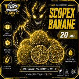 Bouillettes Scopex Banane 20 mm 1 kg CarpeConnect appat carpe gros poissons WWW.CarpeConnect.Com