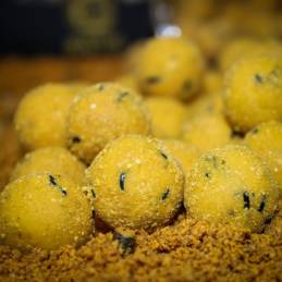 PRO ELITE BAITS GOLD BOILIES 24MM SWEET DREAMS 1000 GR