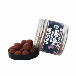 Fun Fishing Inova Baits Pop Ups Scopex Squid 15mm 67g | Pop-Ups Carpe | CarpeConnect