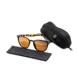 Korda Shoreditch Écaille Mate Verres Marron | Lunettes Polarisées Pêche Carpe | CarpeConnect