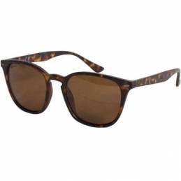 Korda Shoreditch Écaille Mate Verres Marron | Lunettes Polarisées Pêche Carpe | CarpeConnect