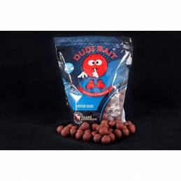 Dudi Bait Mister Dudi 30 mm 1 kg - Bouillettes Carpe Squid Cranberry | Carpe Connect
