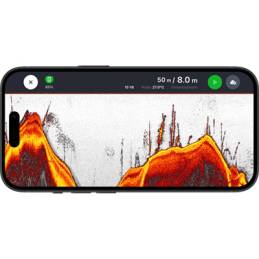 Deeper Module DownScan pour QUEST Sondeur CHIRP Pêche Carpe