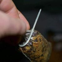 CABLES SOLUBLES PVA