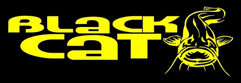 BLACK CAT