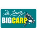 BIG CARP 